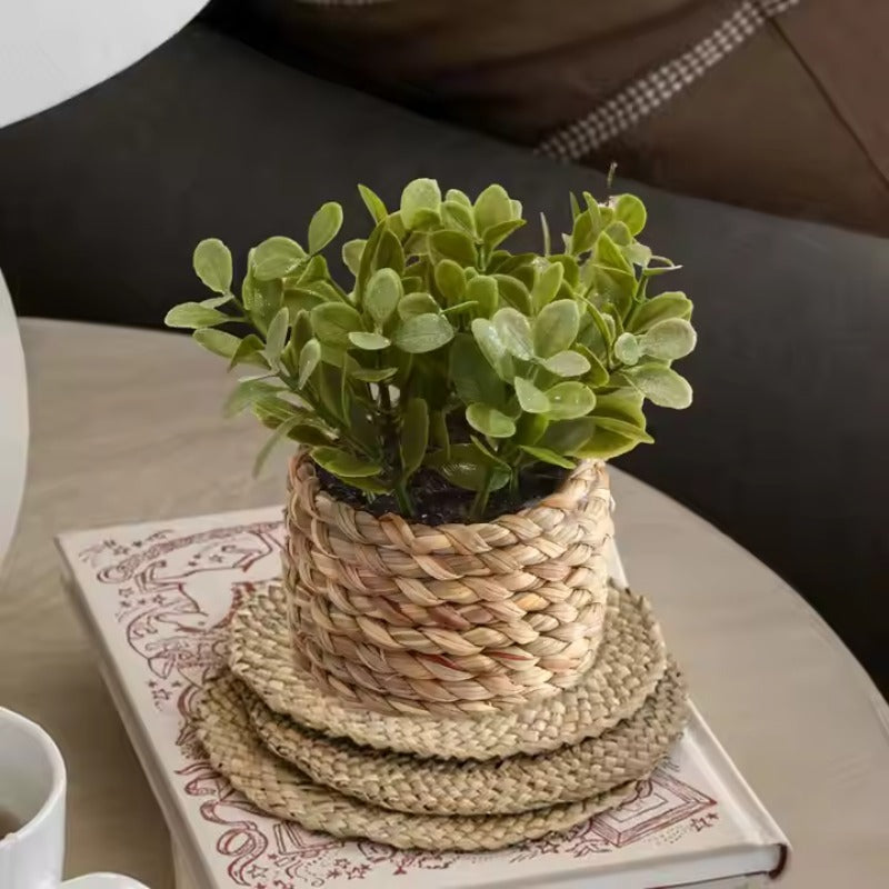 Potted Plant Small Fake Plants Indoor Home Decor