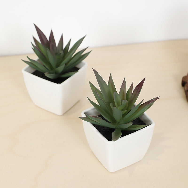 Mini Artificial Succulent Fairy Cup Small Potted Plant