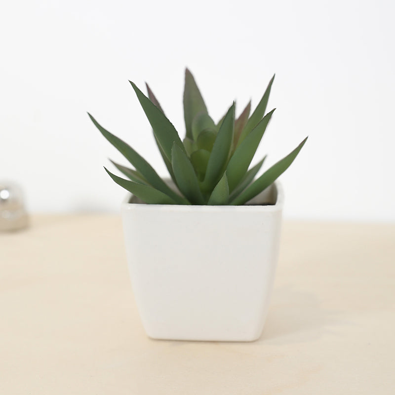 Mini Artificial Succulent Fairy Cup Small Potted Plant