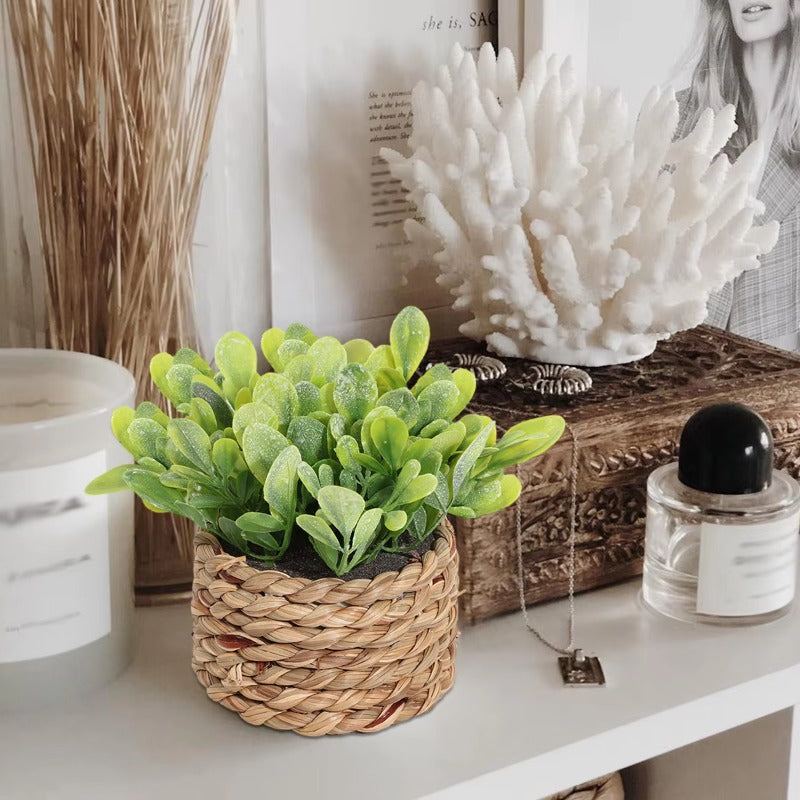 Potted Plant Small Fake Plants Indoor Home Decor