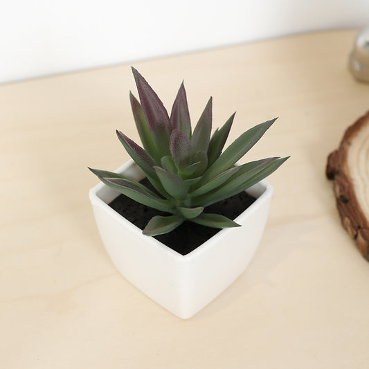 Mini Artificial Succulent Fairy Cup Small Potted Plant