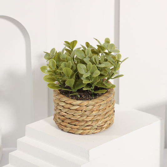 Potted Plant Small Fake Plants Indoor Home Decor