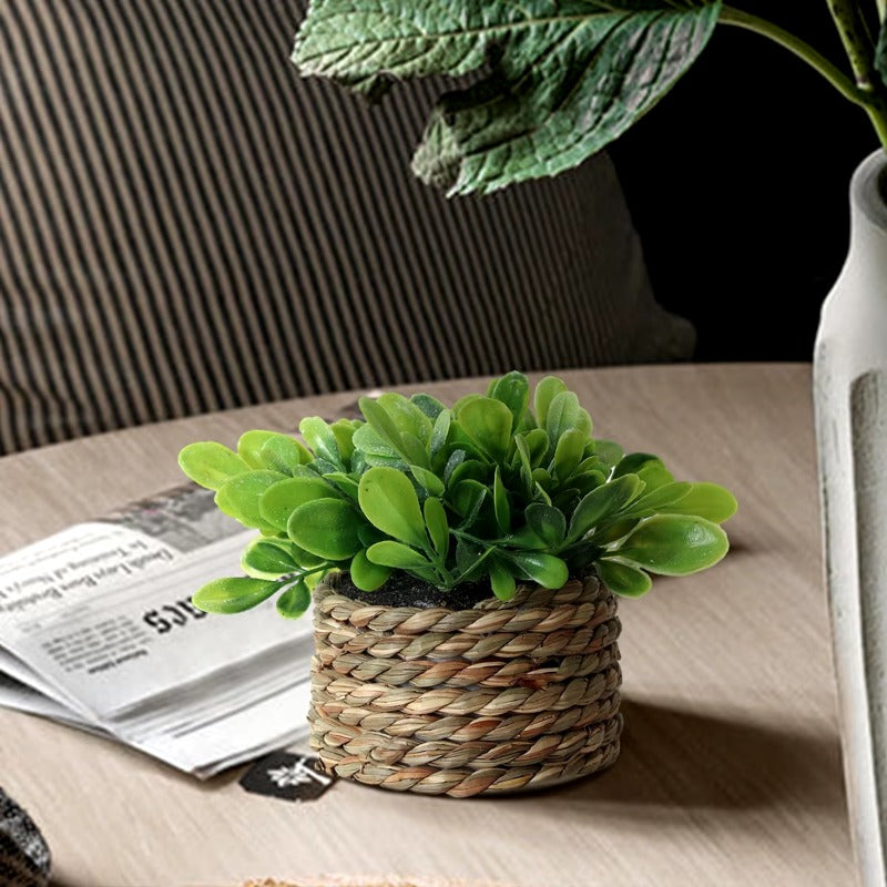 Potted Plant Small Fake Plants Indoor Home Decor